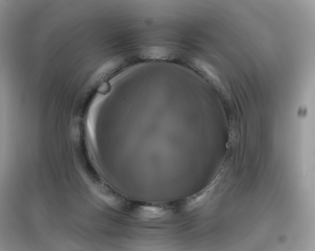 X0000096160167200802011304