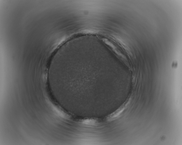 X0000096160168200802011304