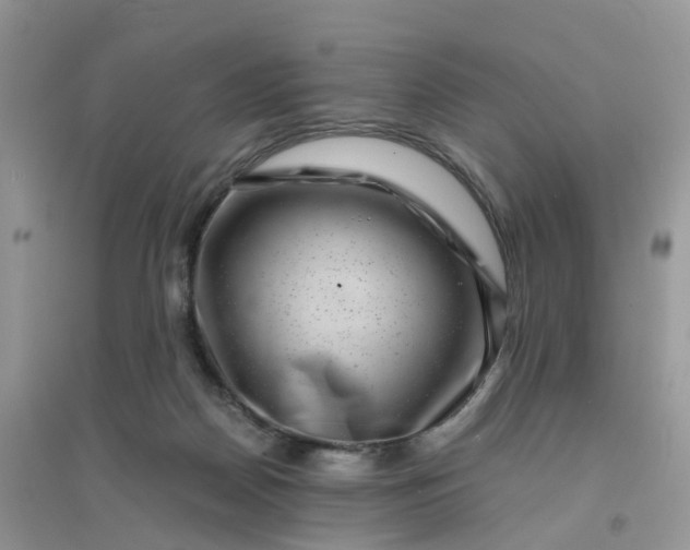 X0000096160170200802011304