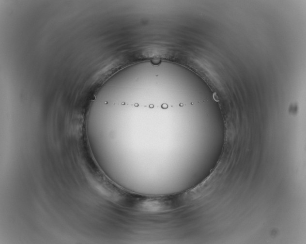 X0000096160171200802011304