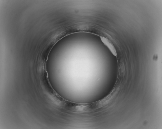 X0000096160172200802011304