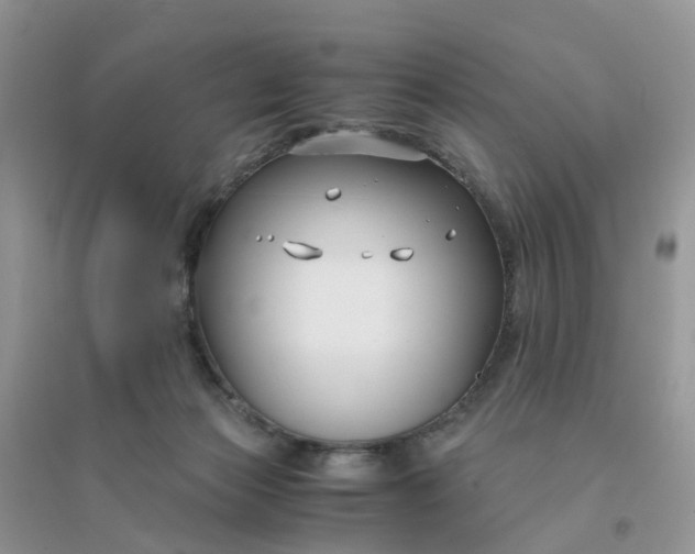 X0000096160173200802011304