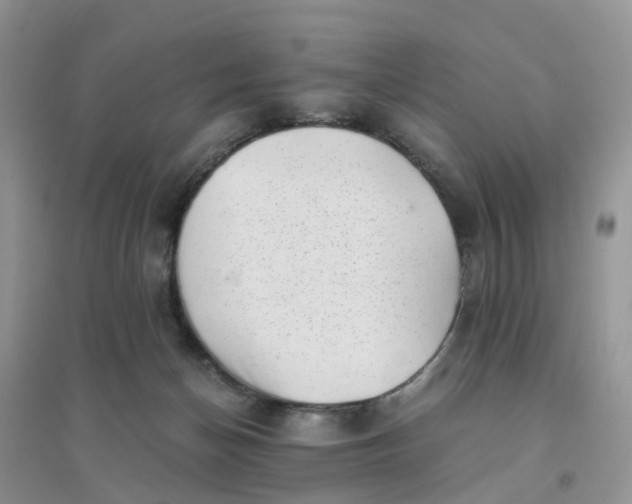 X0000096160174200802011304