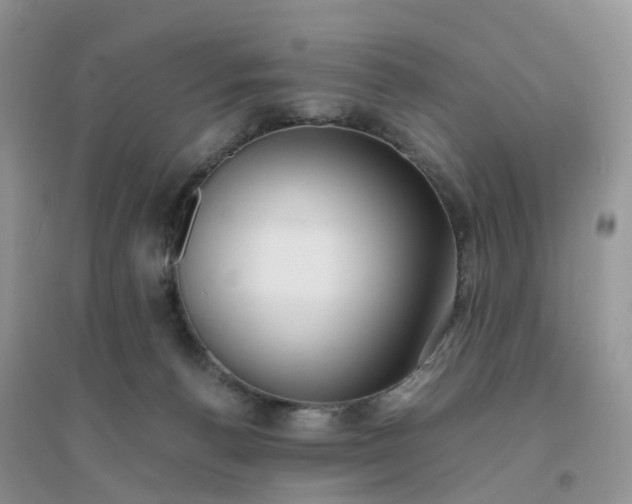 X0000096160176200802011304