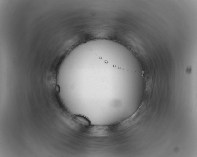 X0000096160179200802011304