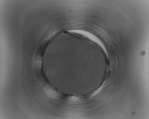 X0000096160180200802011304