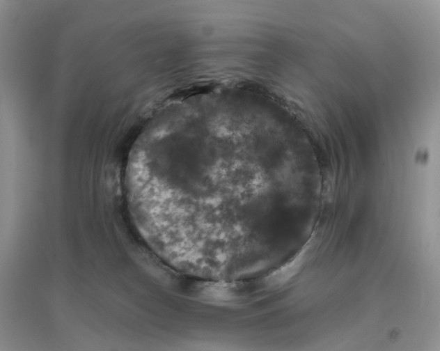 X0000096160182200802011304