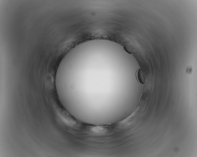 X0000096160183200802011304