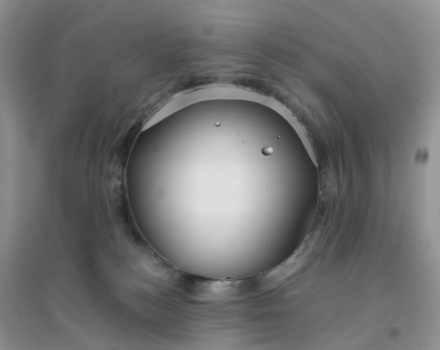 X0000096160184200802011304