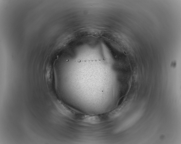 X0000096160185200802011304