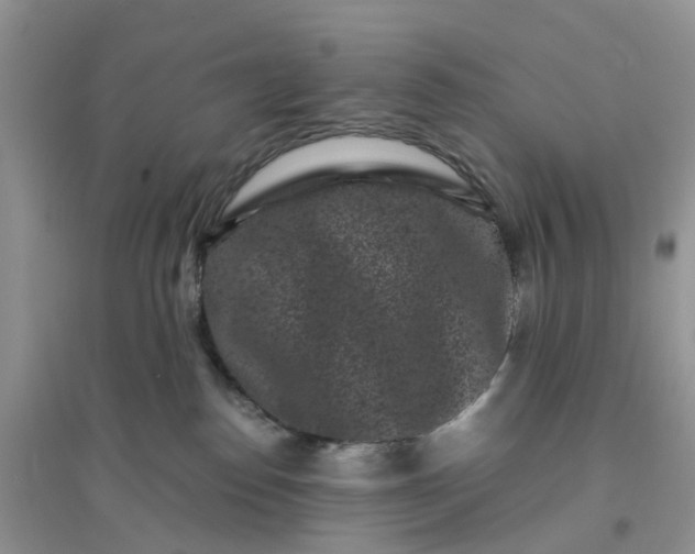 X0000096160186200802011304