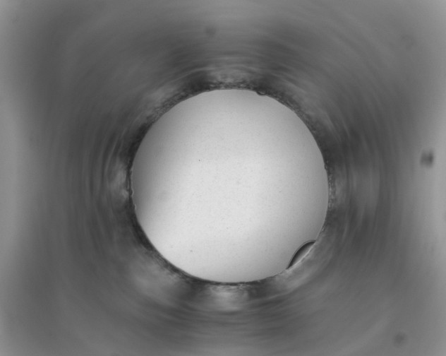 X0000096160187200802011304