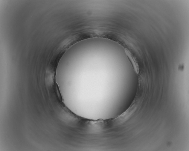 X0000096160188200802011304