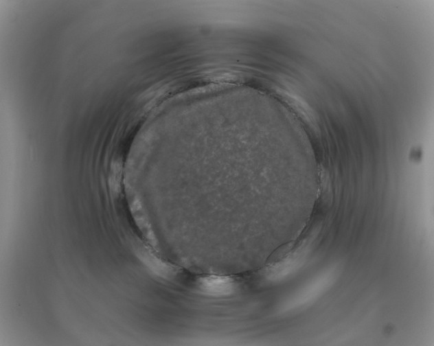 X0000096160189200802011304