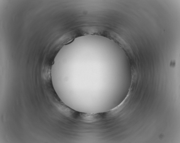 X0000096160191200802011304