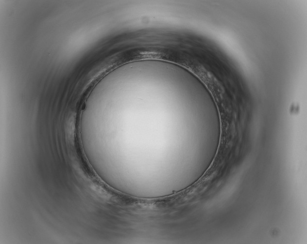 X0000096160194200802011303