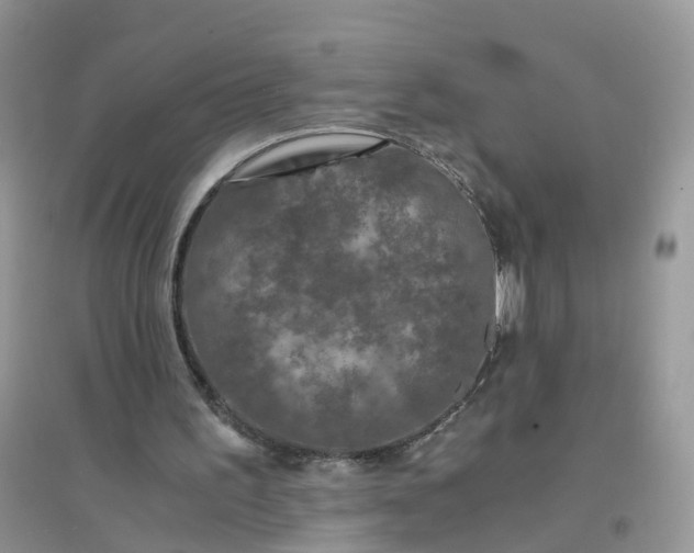 X0000096160195200802011303