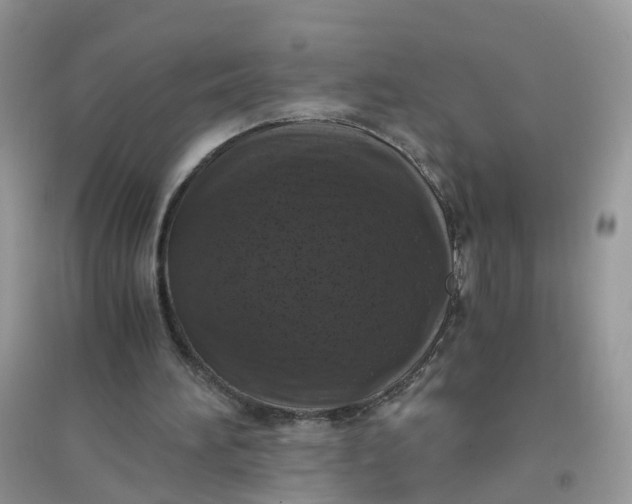 X0000096160196200802011303