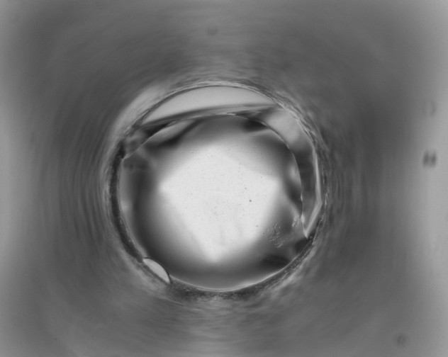 X0000096160197200802011303