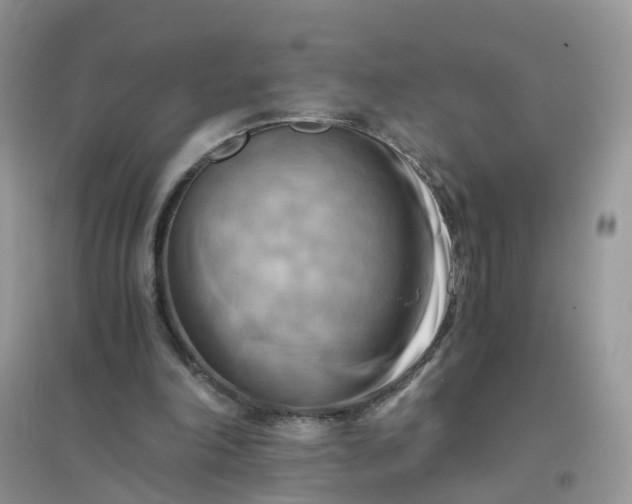 X0000096160198200802011303