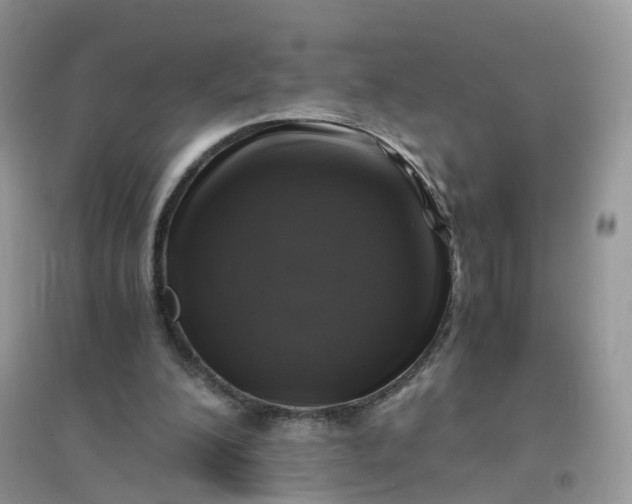 X0000096160200200802011303