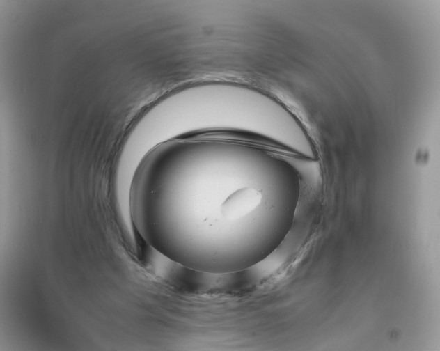 X0000096160201200802011303