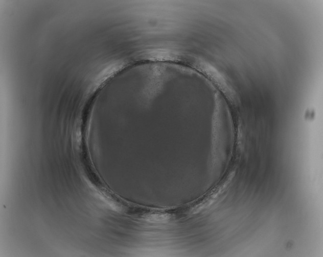 X0000096160202200802011303