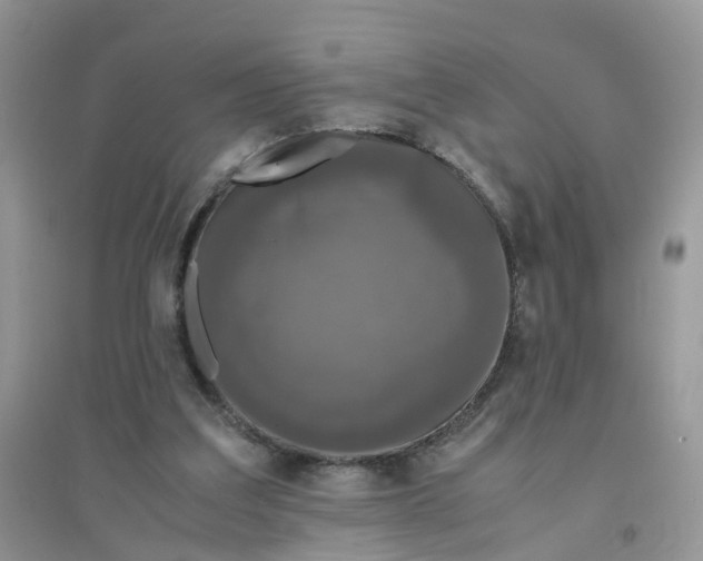 X0000096160203200802011303