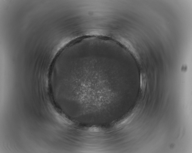 X0000096160204200802011303