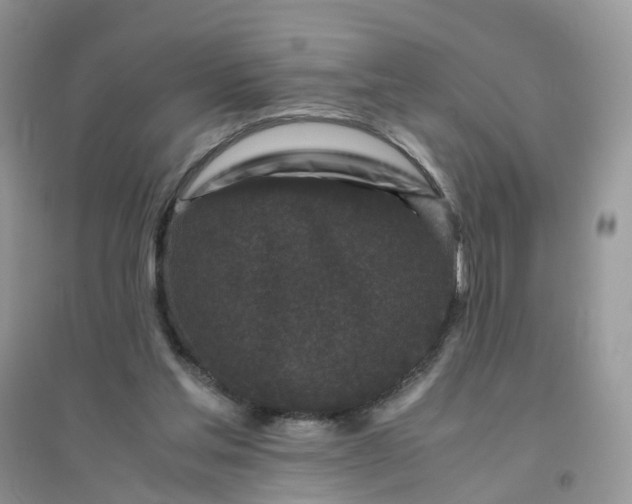 X0000096160205200802011303