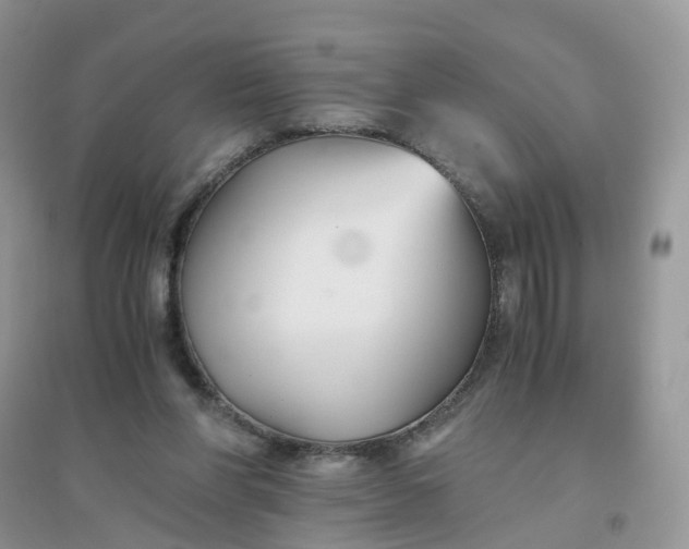 X0000096160206200802011303