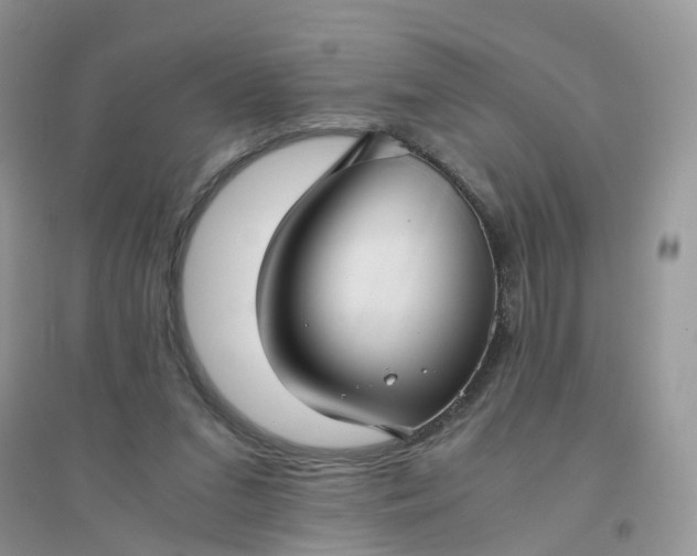 X0000096160207200802011303