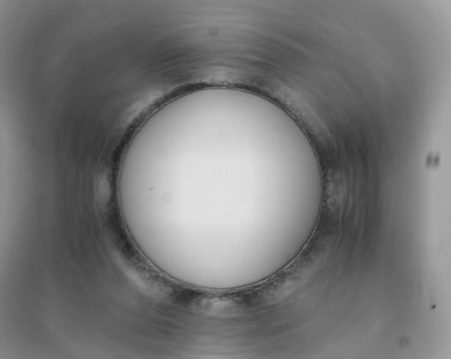 X0000096160208200802011303