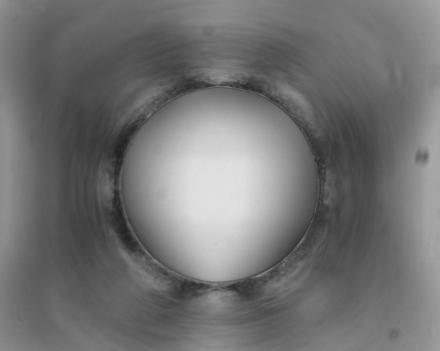 X0000096160210200802011303