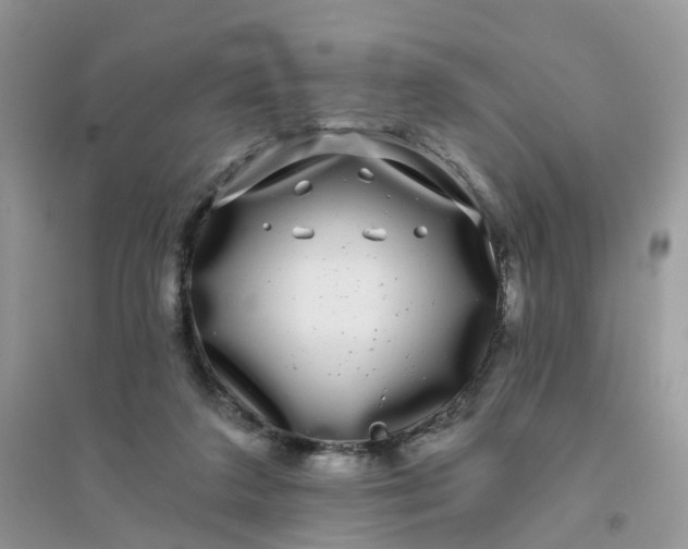 X0000096160211200802011303