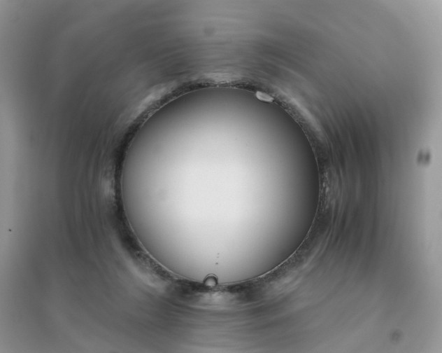 X0000096160212200802011303