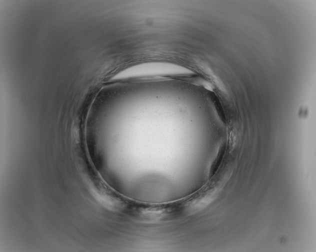 X0000096160213200802011303