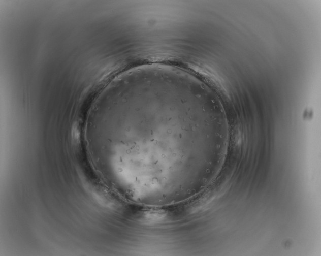 X0000096160214200802011303