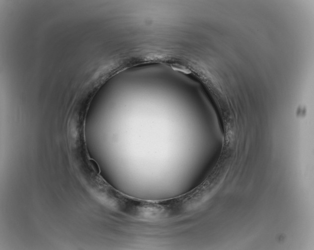 X0000096160215200802011303