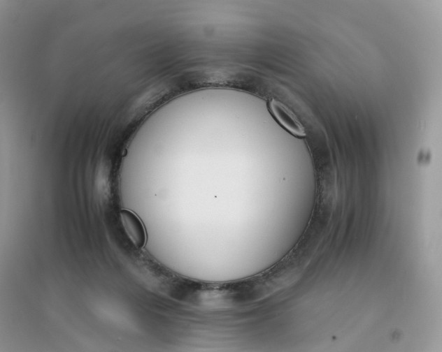 X0000096160216200802011303