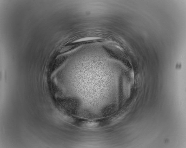 X0000096160217200802011303