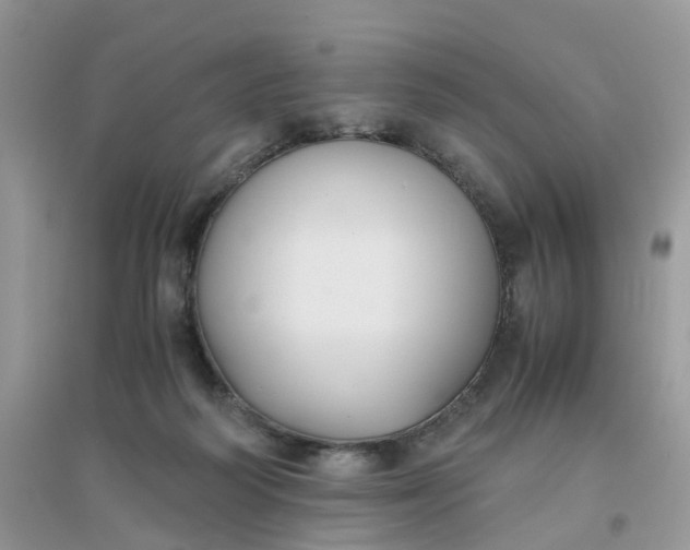 X0000096160218200802011303