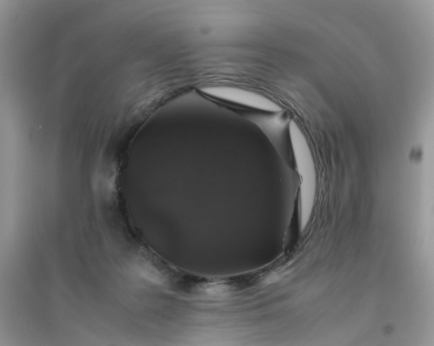 X0000096160219200802011303