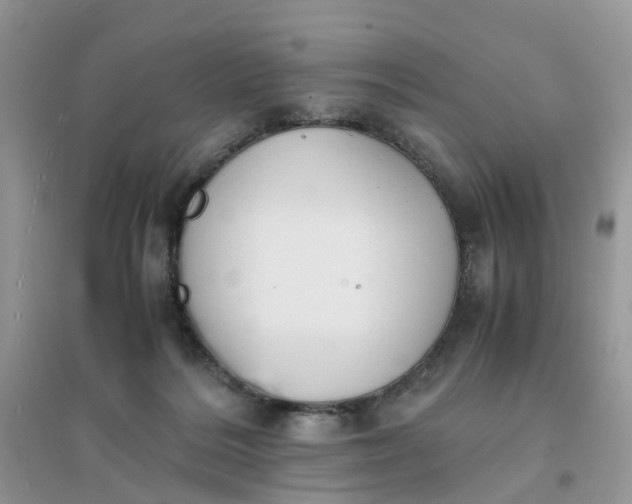 X0000096160220200802011303