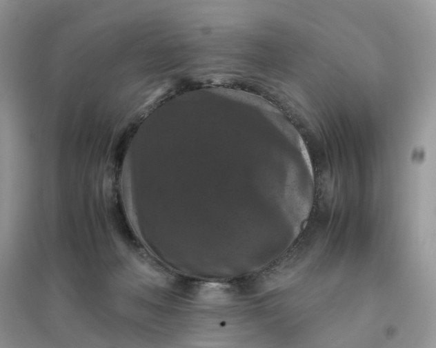 X0000096160222200802011303