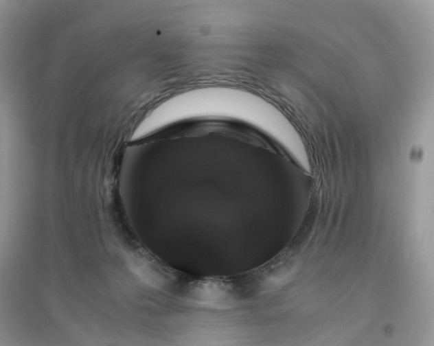 X0000096160223200802011303