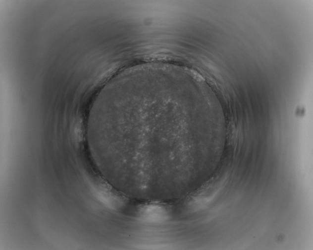 X0000096160224200802011303