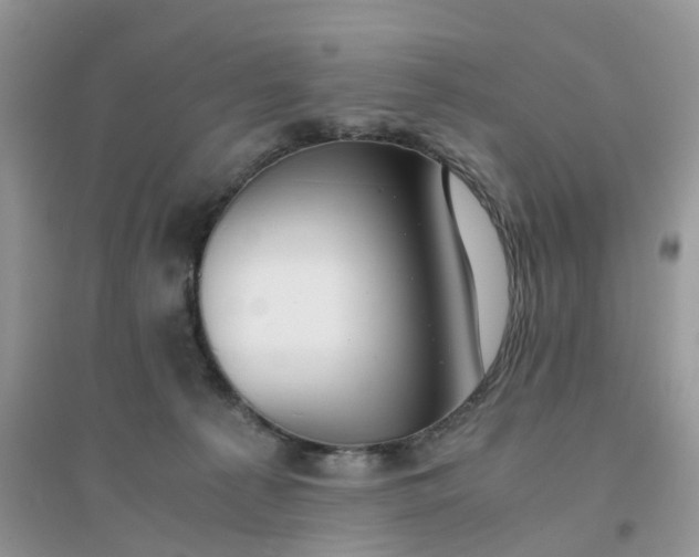 X0000096160225200802011303