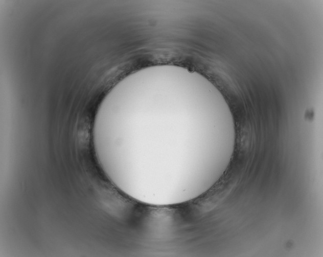 X0000096160226200802011303