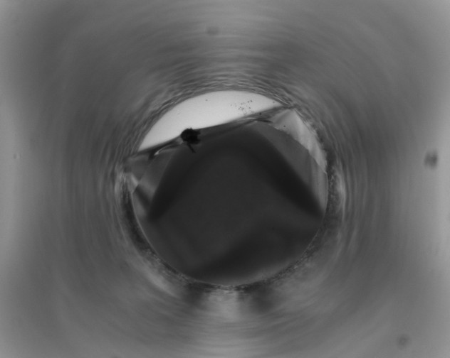 X0000096160227200802011303